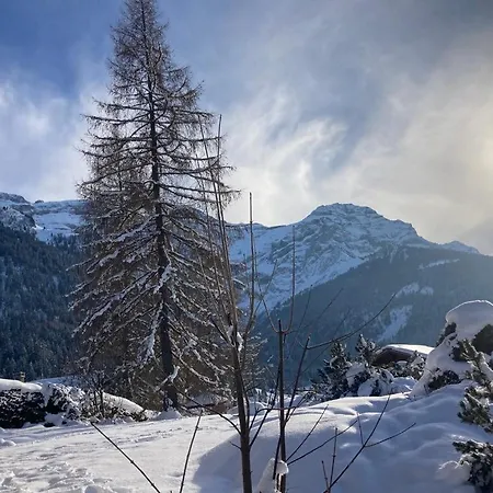 Rose De Noel * Les Diablerets