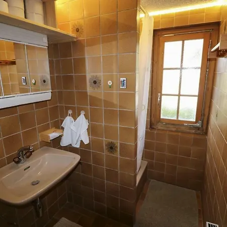 Apartament 2 Pieces Rose De Noel Les Diablerets