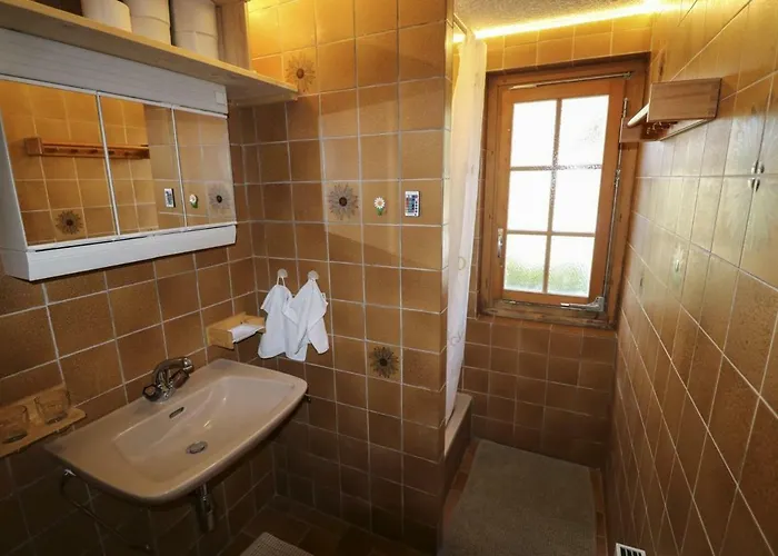 Appartement 2 Pieces Rose De Noel Les Diablerets