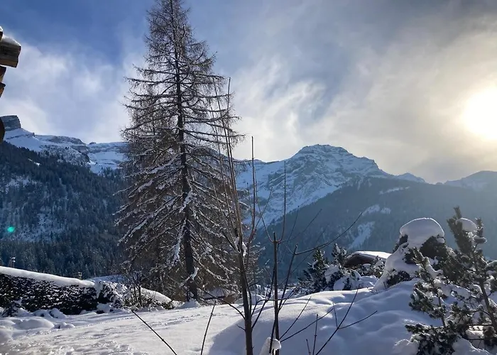 2 Pieces Rose De Noel * Les Diablerets