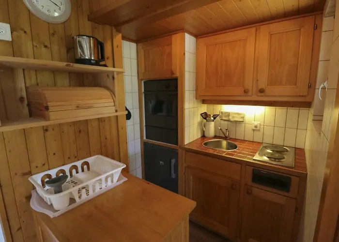 Apartament 2 Pieces Rose De Noel Les Diablerets